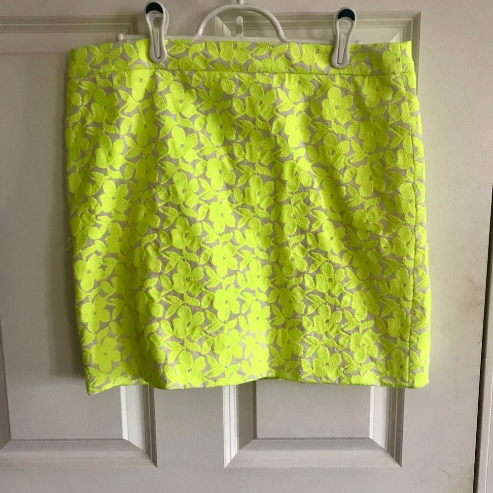 JCrew skirt